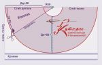новогодний костюм бесплатная выкройка